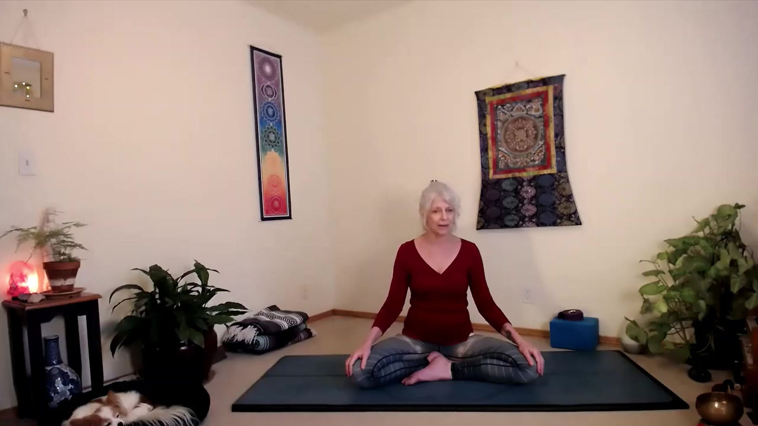 Foundations of Yoga with Laura